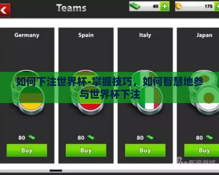 如何下注世界杯-掌握技巧，如何智慧地参与世界杯下注