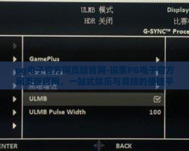 pg电子官方网页版官网-探索PG电子官方网页版官网，一站式娱乐与竞技的便捷平台