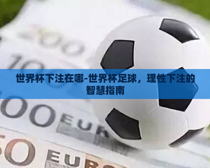 世界杯下注在哪-世界杯足球，理性下注的智慧指南