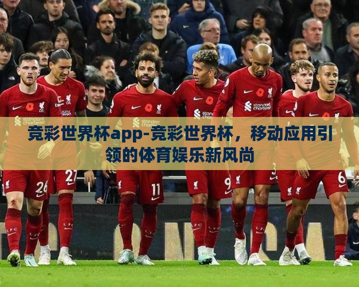 竞彩世界杯app-竞彩世界杯，移动应用引领的体育娱乐新风尚