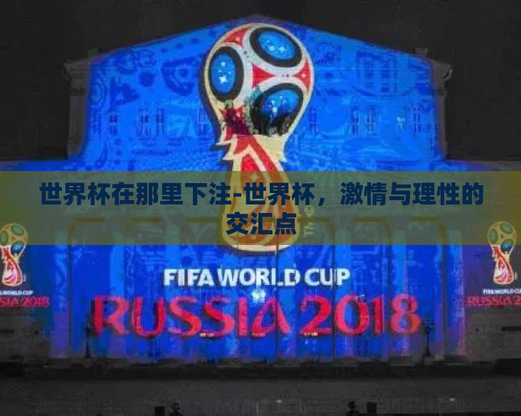世界杯在那里下注-世界杯，激情与理性的交汇点