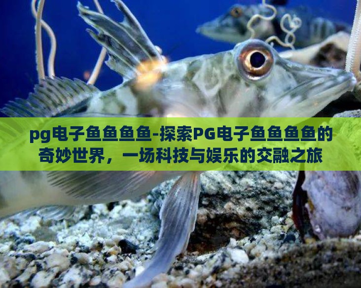 pg电子鱼鱼鱼鱼-探索PG电子鱼鱼鱼鱼的奇妙世界，一场科技与娱乐的交融之旅