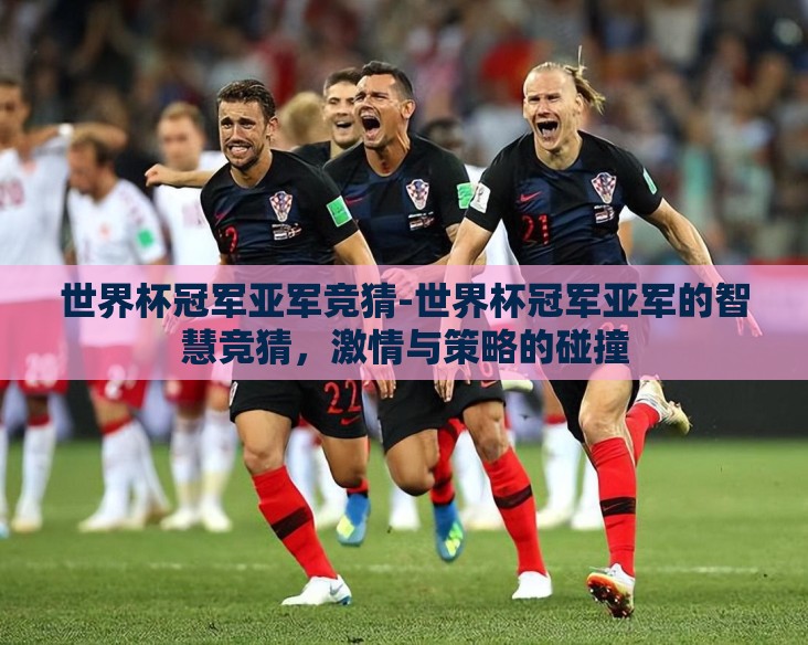 世界杯冠军亚军竞猜-世界杯冠军亚军的智慧竞猜，激情与策略的碰撞