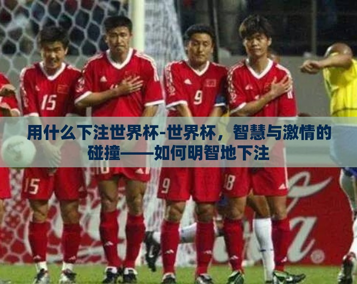用什么下注世界杯-世界杯，智慧与激情的碰撞——如何明智地下注