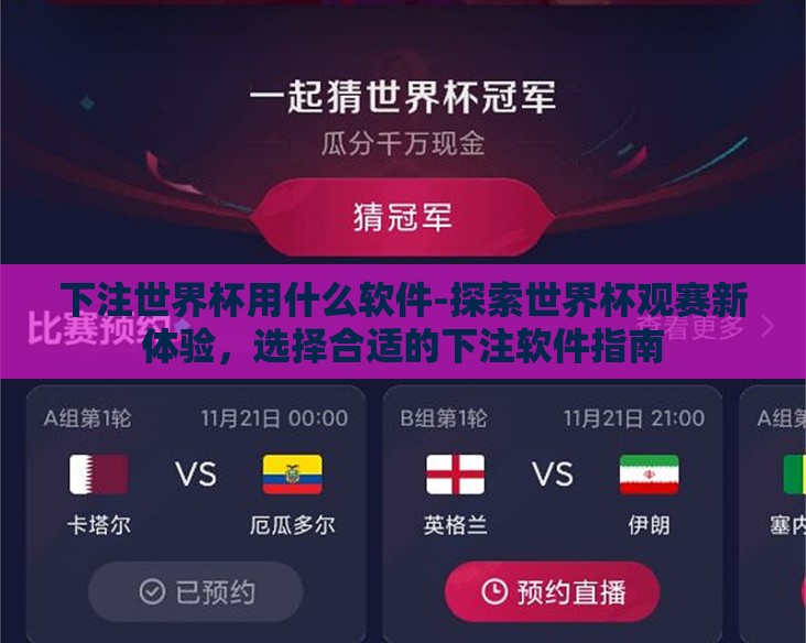 下注世界杯用什么软件-探索世界杯观赛新体验，选择合适的下注软件指南
