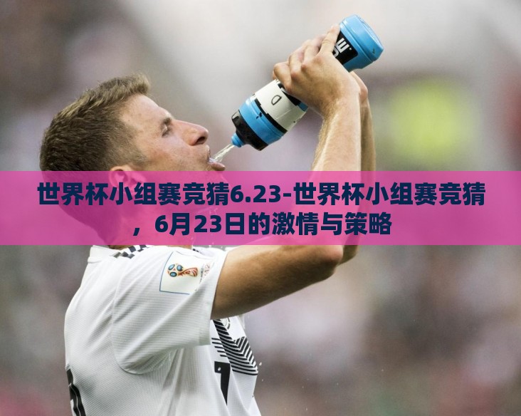 世界杯小组赛竞猜6.23-世界杯小组赛竞猜，6月23日的激情与策略