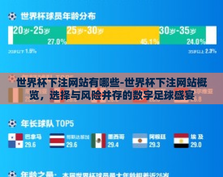 世界杯下注网站有哪些-世界杯下注网站概览，选择与风险并存的数字足球盛宴