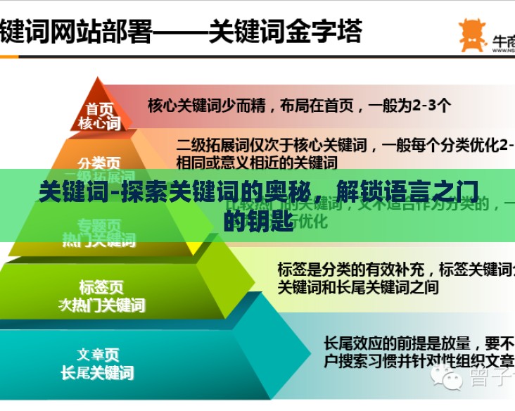 关键词-探索关键词的奥秘，解锁语言之门的钥匙